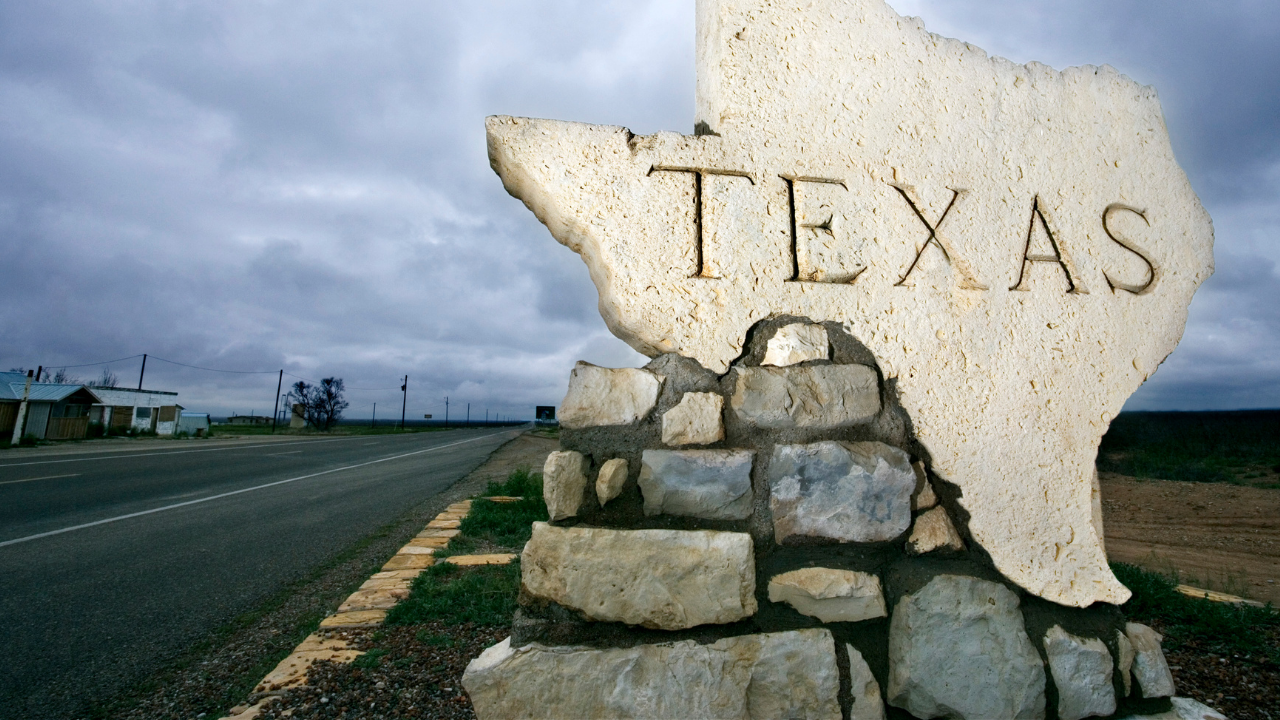 Texas Voters Elect School Choice Champions in Both Parties American